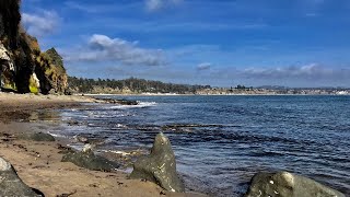 Capitola Beach Happy Life - March 6, 2020 - Pre Shelter in Place by Carin - Cats & Good Vibes 5,523 views 4 years ago 4 minutes, 23 seconds