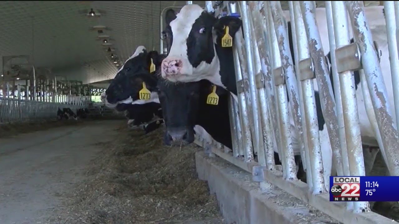 Lawmakers ask USDA to support Horizon Organic dairy farms in the northeast