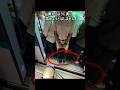 満員電車で盲導犬より自分を優先する人達#shorts #dog #guidedog #犬#盲導犬