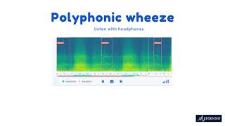 Lung Sounds - Polyphonic Wheeze