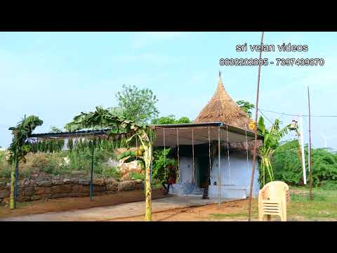 பரப்புத்துறை / மாலை வீடியோ   / ஶ்ரீ வேலன் ஸ்டுடியோ /விராலிமலை.