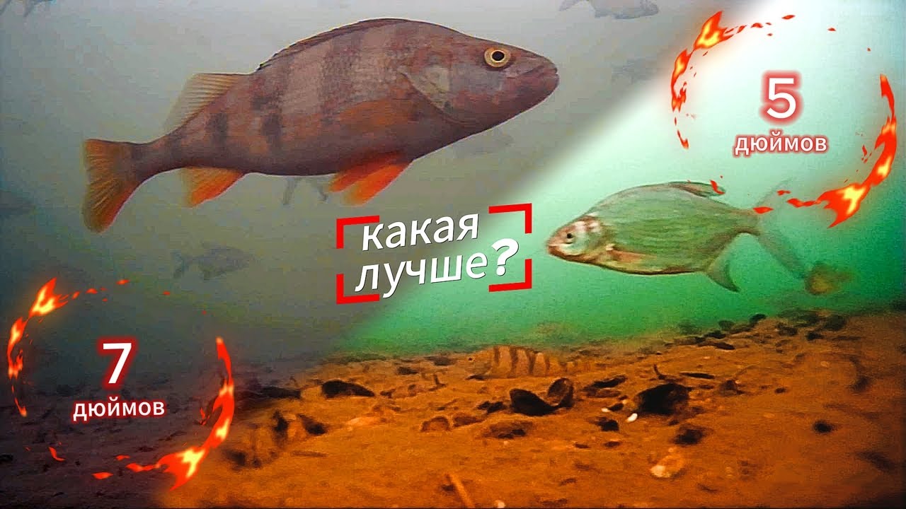 Кто лучше в реальных условиях? Сравнил две китайские камеры на реке.