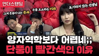 양자역학보다 어렵네;; 단풍이 빨간색인 이유 (중동고등학교 과학교사 안주현 박사)