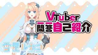 「【自己紹介】Vtuber一問一答自己紹介/Vtuber Q&A Self-introduction【雪星ルカコ】」のサムネイル