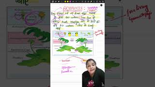 Best trick on youtube to remember Bryophytes with examples. #yt #ytshorts #viral @teachingtribe