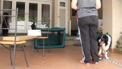 Unit 4 / 10-Part Behavior Chain