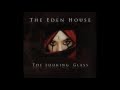 THE EDEN HOUSE - Play Dead