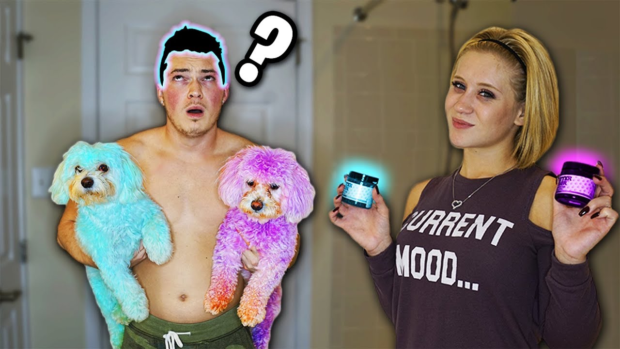 puppy paradise I dyed my hair the same color as my dogs..