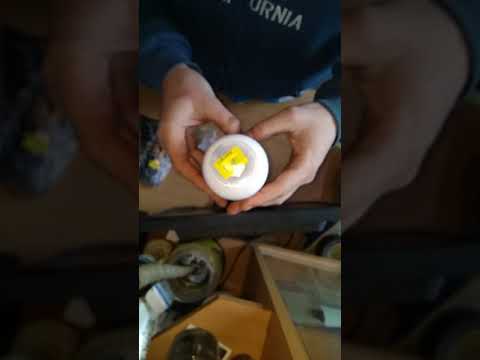 Витамин C для спорта BioTechUSA Vitamin C 1000 100 Tabs фото от покупателей 1