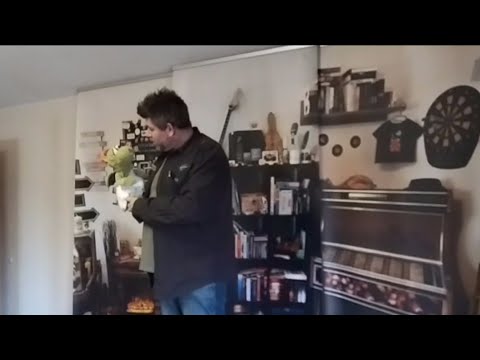 Live-Show Impressionen