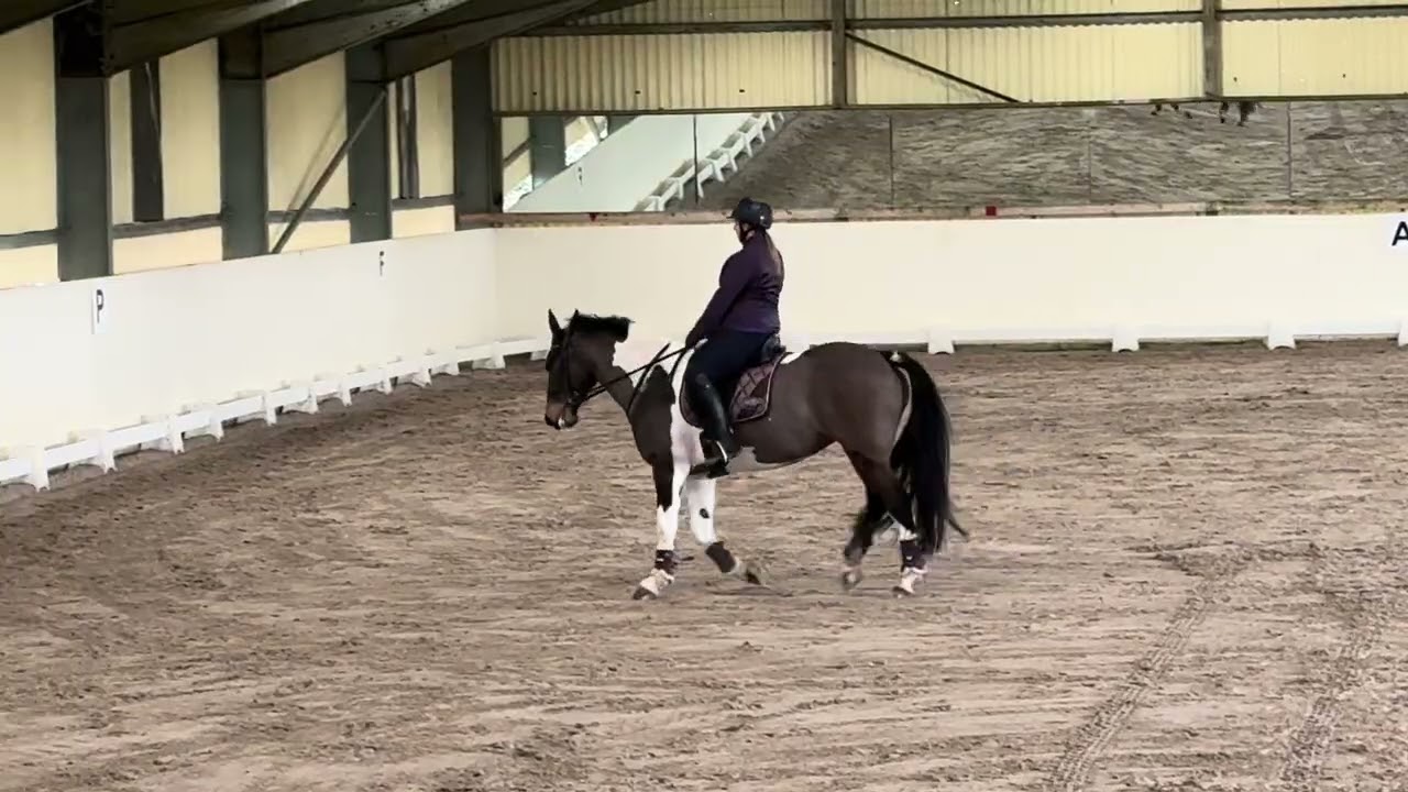 Kirstin and Dior- e-riders dressage- P4- Feb 2026