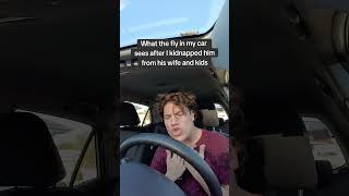 That poor fly #meme #memes #fly #flynapped #driving #comedy #shorts #short