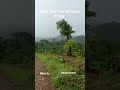 Farmhouse Plots Available Bhor 9923317757 #farming #porperty #punekar #trendingshorts #trending