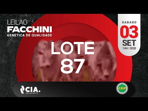 LOTE 87 LEILÃO FACCHINI 2022