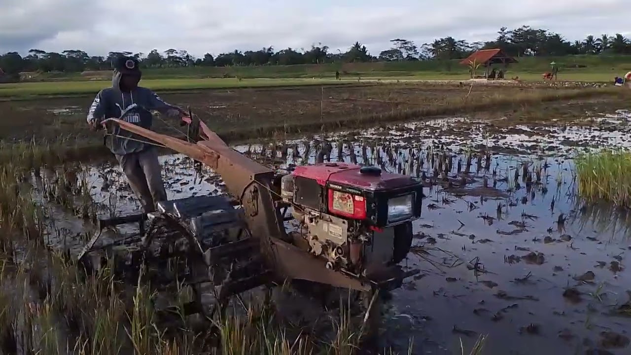 Traktor Sawah Menggunakan Traktor Yanmar Yst Pro Dengan Diesel yanmar Tf 85 MlysGlebeg Lahan Keras