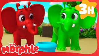 Funny Green Elephant 🐘 | Fun Animal Cartoons | @MorphleTV  | Learning for Kids by Magic Cartoon Animals! - Morphle TV 36,416 views 1 month ago 3 hours