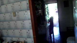 Fotos novas Inês 299.avi