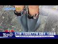 暴雨必帶! 「可摺雨鞋」塞進包PK穿脫5秒鞋套｜TVBS新聞 @TVBSNEWS01