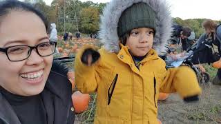 Pumpkin patch Adventure | PYO Tulleys Farm | Mummy Dee's diaries