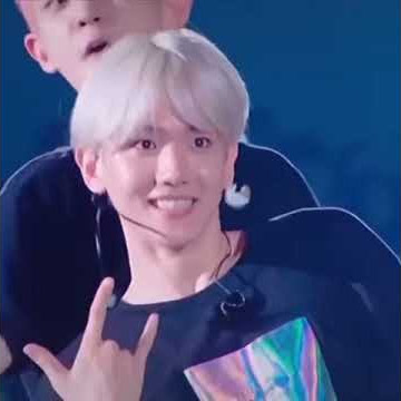TikTok EXO Version