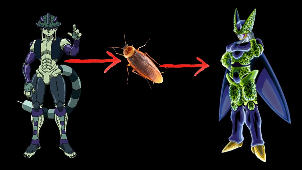 Cockroach Makes Meruem Perfect Cell