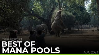 Best Of Mana Pools 2023 | TRIP REPORT