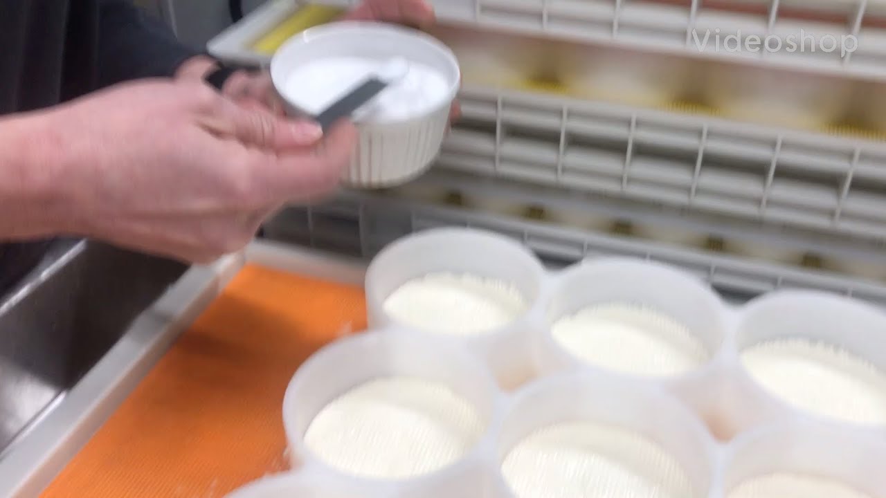 Full day cheese making YouTube