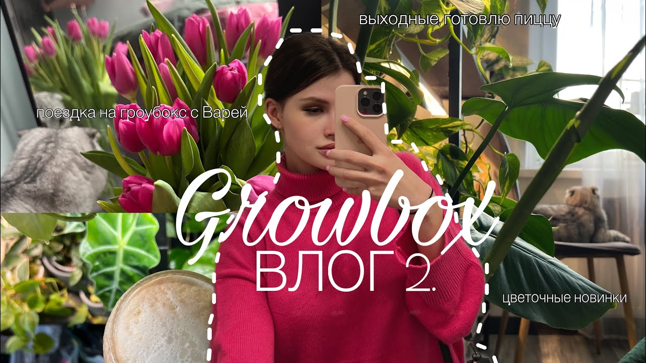ВЛОГ 2: гроубокс, цветочные новинки. 