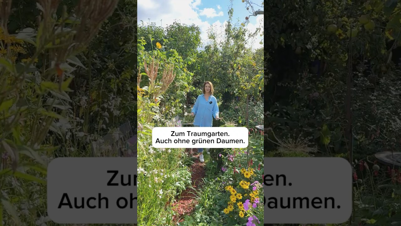 Zum Traumgarten ohne grünen Daumen 