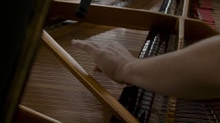 Carlos Cipa – Making of 'Correlations (on 11 pianos)'