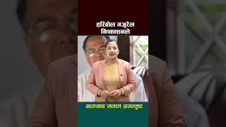 हरबल गजरल नषकशनल झलनथ खनल असनतषट - Chhitopost News