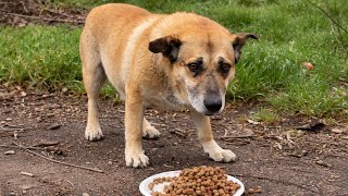 So Hungry… Yet Too Scared to Take a Bite