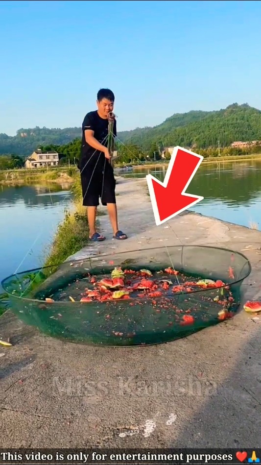 Fishing Style ? ?~ New Viral Gadgets, Smart Appliances, Kitchen Utensils/ Home Inventions #shorts