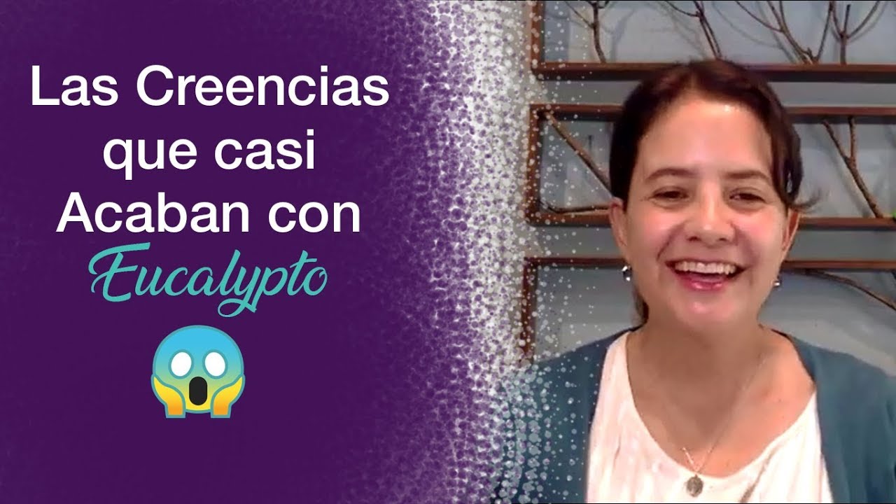 🤕 Las Creencias Que Casi Acaban con Eucalypto (como 🅲🅰🅼🅱🅸🅰🆁 ​ 🆃🆄🆂 ​ 🅲🆁🅴🅴🅽🅲🅸🅰🆂 ​  limitantes)