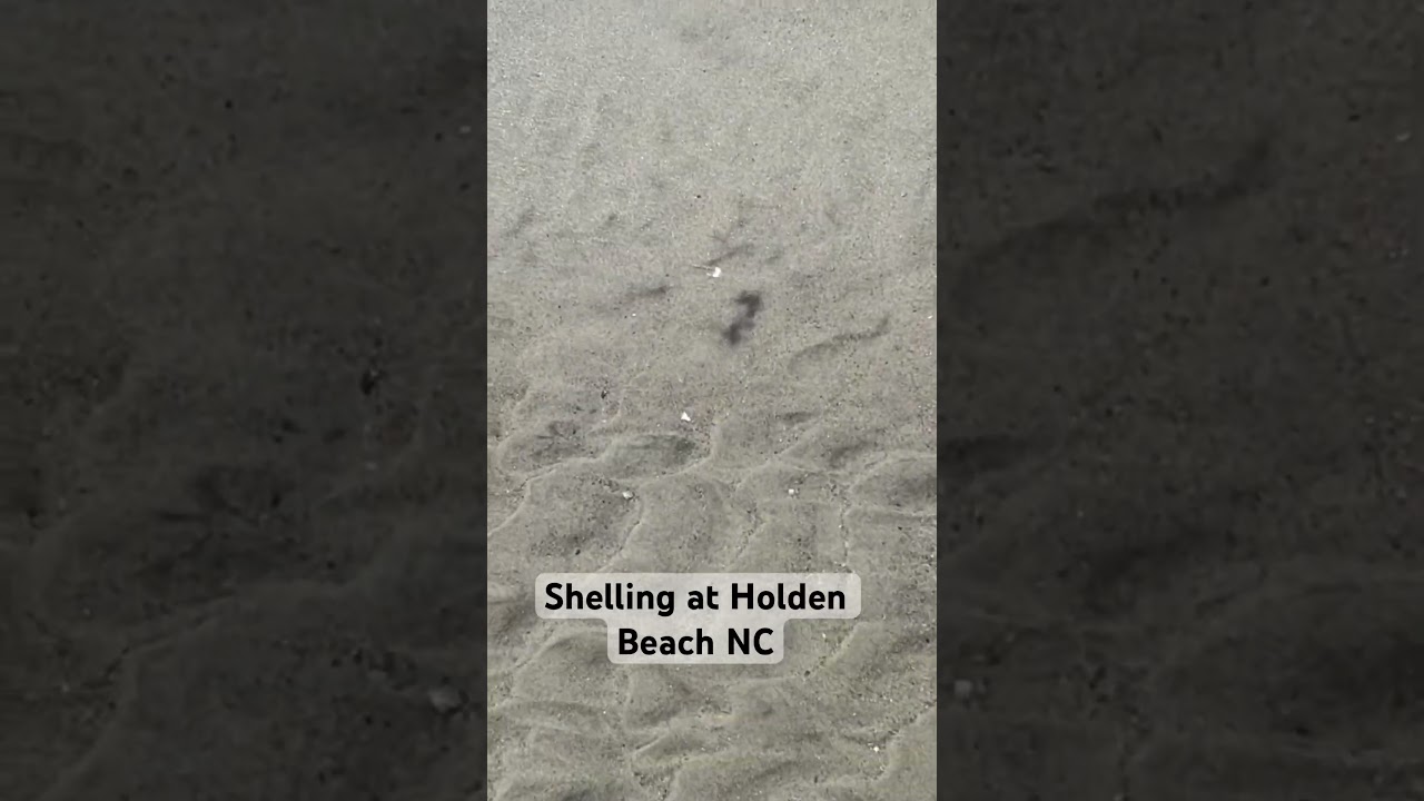 Shelling at Holden Beach NC 