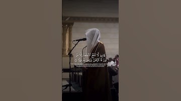القارئ: محمد ابا الحسن 🩶🤍 #ياسر_الدوسري #مسلم #قرآن #explore #explorepage #مسجد #مكة ❤️