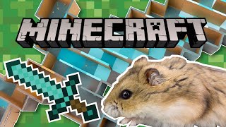 How to Make a Hamster Maze House | MINECRAFT WORLD