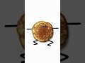 I am a pancake