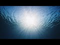 Underwater Light 🌊 Calm Deep Ambience for Sleep, Relaxation &amp; Meditation