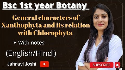 General characteristics of Xanthophyta and its relation with Chlorophyta