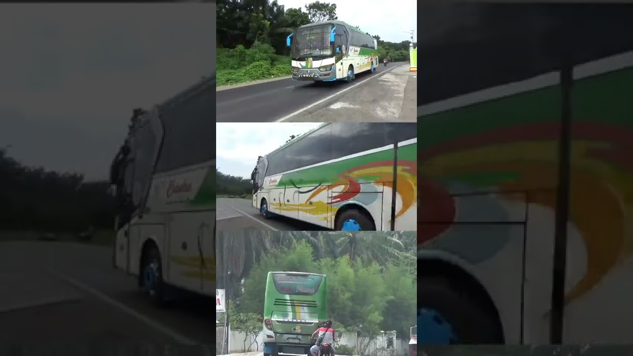 Bus Chandra 4009 Medan baganbatu ngejoss di lintas perbatasan Riau