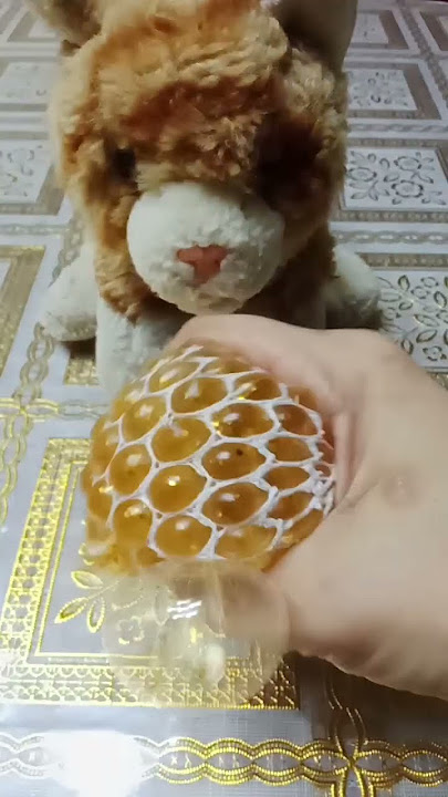 pussy cat is playing squishy🐈#asmr #trending #viral #fidget #shorts #viralvideo #cat #cute #funny