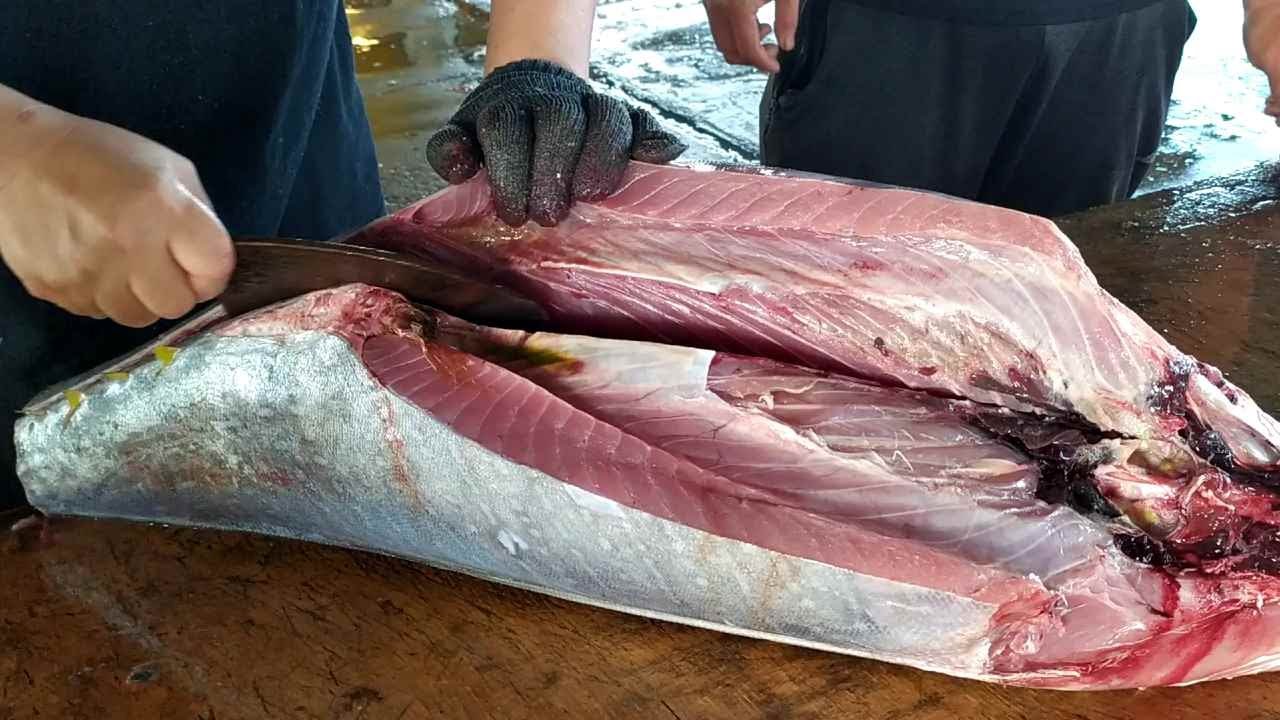 World's Sharpest Tuna Knife! Perfect Bluefin Tuna Cutting Skill YouTube
