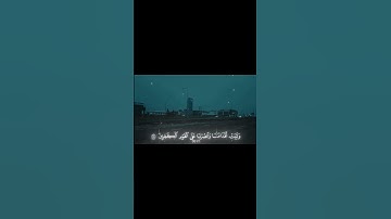 ‎والله يحب الصـبرين 🤍 | سورة آل عمران [١٤٦-١٤٨] | #قرآن #قران_كريم #ياسر_الدوسري