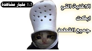 اغنية القطة المشمشية | موال القطة المشمشية | قطة حزينة cat sad | الاوتة المشمشية