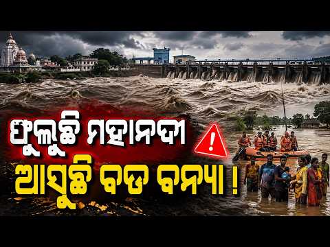 ୨୦ରେ ଆଉ ଏକ ଲଘୁଚାପ ଆକଳନ || Weather || Odisha Rain || DinalipiLive