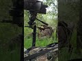 Father and son turkey hunt #springthunder #longbeard #turkeyhunting tur