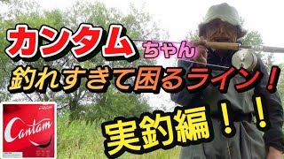 Fly Fishing] Quantum is a versatile line that can do anything