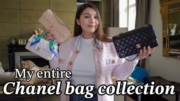Entire Chanel Handbag Collection : See Every Single One I Own !! 