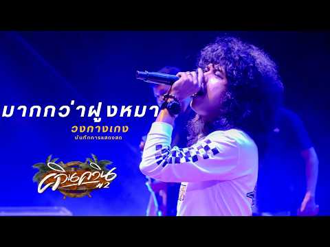 LIVE More Than a Pack of Dogs - The Pants Band (QuinQuin Concert #2)